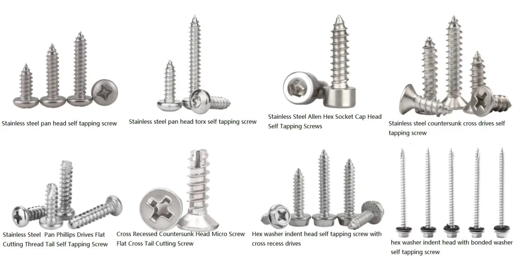 Stainless Steel Machine Screw /Self Tapping Drilling Screw/Set Screw/Furniture Screw/Roofing Screws