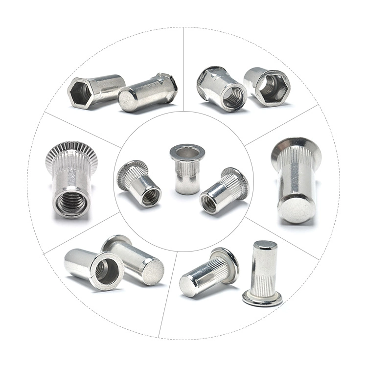 Reduced Csk Head Stainless Steel Rivet Blind Rivet Plain Body Closed End Rivet Nuts and Bolt