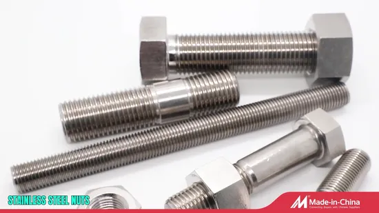 Vite flangiata/vite carrello/vite quadrata/vite passante/ancoraggio a cuneo in acciaio inossidabile 304 316