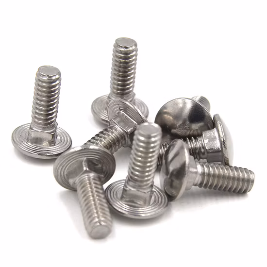 Bullone per trasporto in acciaio inossidabile (SS304 SS316)